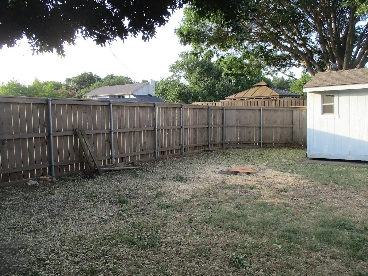 Cleared yard after professional tree removal in Eufaula