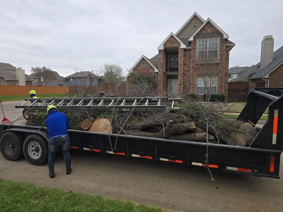 Expert Tree Pest Control with proper safety equipment in Eufaula